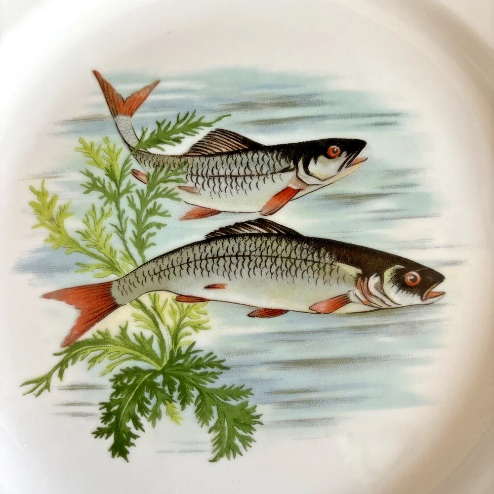 Hand Painted Fish Pattern Porcelain Dinner Plate Made In France Gold Gilt Rim